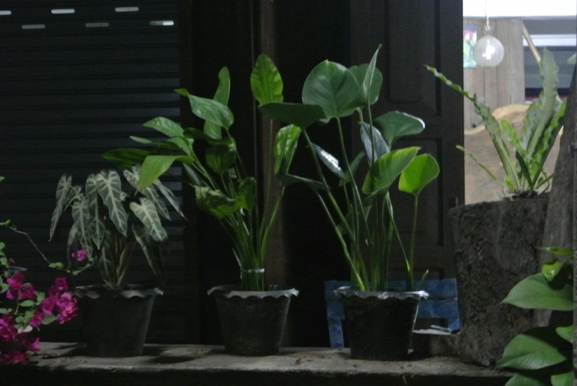 Cumpun Guest House Chiang Mai Exterior foto